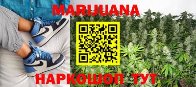 крисы Шелехов