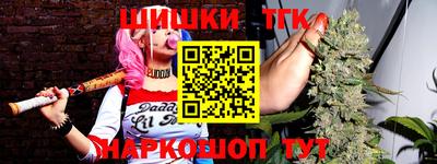 крисы Шелехов