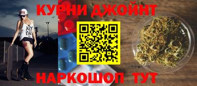 крисы Шелехов