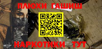 крисы Шелехов